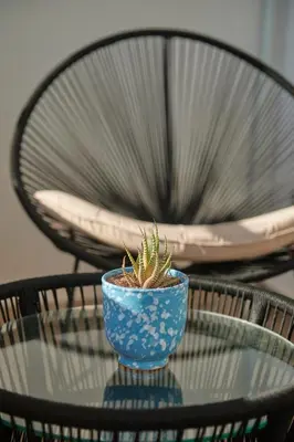 a blue bowl with a plant sitting on a glass table at YourPlace Rabat - Royal Residence in Rabat