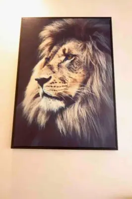 a painting of a lion on a wall at BeachSide marvel in Casablanca