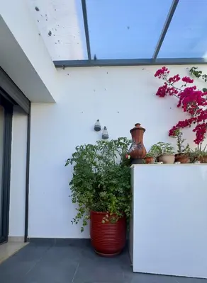 a group of potted plants on a white wall at Cozy 2 bedrooms flat at Dar Bouazza in Dar Bouazza