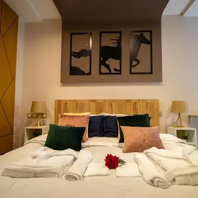 R101- Cosy and stylish apartment with King Size Bed- Belvédère