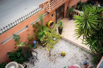 an aerial view of a garden with plants at Grand appartement 3 chambre in Casablanca