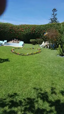 a garden with a circle of flowers in the grass at Villa entièrement meublée à louer à Mohammedia in Mohammedia