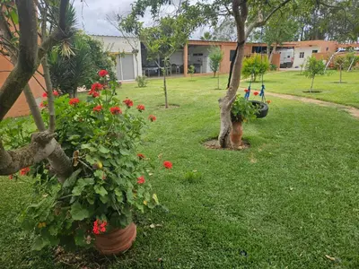 a garden with red flowers in a yard at Premium farmhouse with pool in Rabat