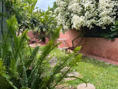a garden with green plants and white flowers at Lovely flat in nice garden in Rabat