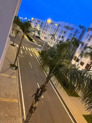 a palm tree sitting on the side of a street at Appartement Sidi Rahal in Sidi Rahal