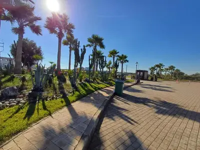 a walkway with palm trees in a park at Bleu Beach Résidence, Sidi Rahal in Sidi Rahal