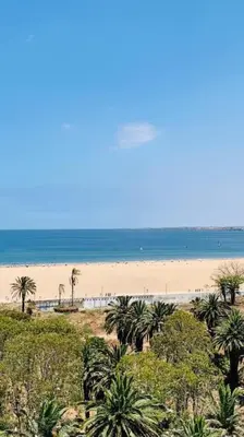 a view of a beach with palm trees and the ocean at Modern apartment centrally located Parc Beach in Mohammedia