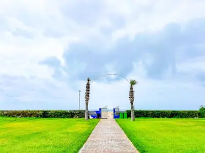 a path in a field with two palm trees at Premium Appartement vue panoramique mer et piscine in Casablanca