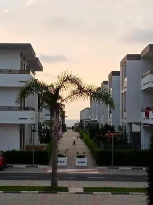 a palm tree in the middle of a street with buildings at Marbella beach el mansouria in Mansouria