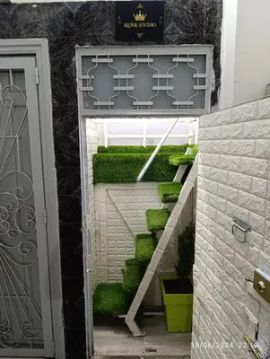 a stairway with green moss growing on it at Alone Studio in Casablanca