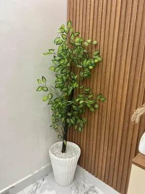 a green plant in a white vase in a room at Cosy appartement lumineux Awards 2026 in Bouznika
