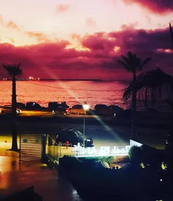 a view of the ocean with palm trees and a sunset at Rock Island Appartement Haut standing pied dans l'eau Mohammedia in Mohammedia
