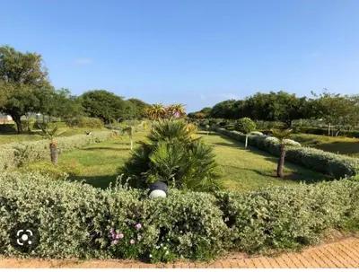 Gallery image of maison de vacances à OLA BLANCA 2 in Dar Hamida