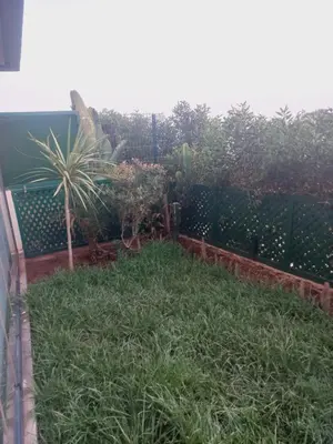 a garden with a fence and a palm tree at Résidence la vallée de Californie ahfad in Le Polo