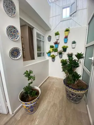 a room with potted plants on the wall at Un écrin rabati in Rabat