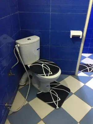 a bathroom with a toilet with a hose at larc in Deroua