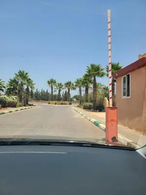 an empty road with palm trees on the side at Ricoflores palm benslimane in O Ben Slimane