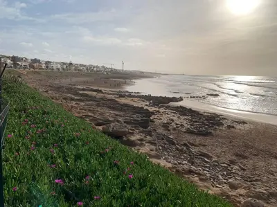 a beach with pink flowers and the ocean at The Atlantica Ocean view apartment in Dar Bouazza