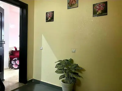 a plant in a room with pictures on the wall at Appartement, Salam Beach in Pont Blondin