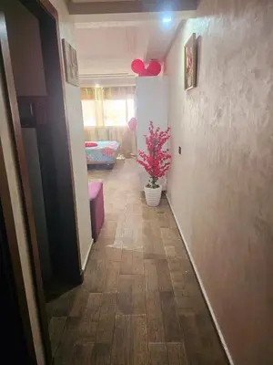 a hallway with a potted plant in a room at Mi mini estudio 3 in Rabat
