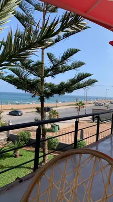a palm tree on a balcony overlooking a beach at Appartement en front de mer à 2 pas des Sablettes in Mohammedia