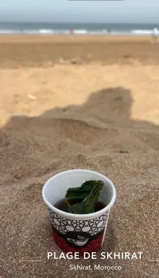 a cup with a plant in it on the beach at Appartement skhirat in Skhirat