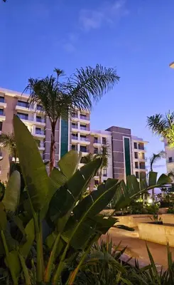 a group of palm trees in front of a building at Cosy Appartement Rabat Agdal in Rabat