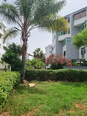 a palm tree in a yard in front of a building at Bayt El Fath in Casablanca