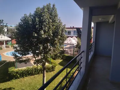 a tree on the balcony of a house at RiadNA in Bouznika