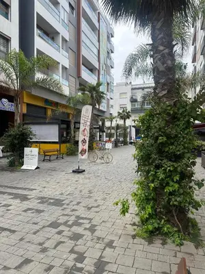 a street with a palm tree and a sign at le joyau de Parc Group A imm B in Mohammedia