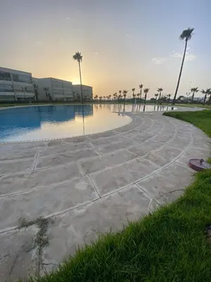 a walkway next to a swimming pool with palm trees at Ola Blanca 2 in Tamaris