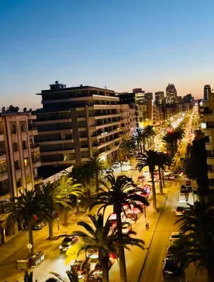 a city street with palm trees and buildings at night at Luxurious studio with view gym parking and keyless access in Casablanca