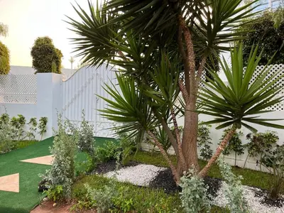 a palm tree in a garden next to a fence at Villa with rooftop bar overlooking sea, pool & vegetable garden in Tamaris