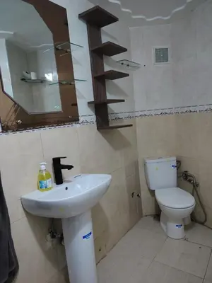 a bathroom with a sink and a toilet and a mirror at fabulous Casablanca in Casablanca
