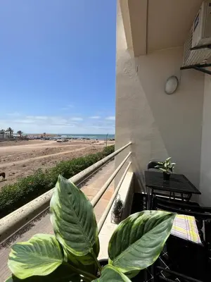 a plant sitting on a balcony looking out at the beach at Mansoria in Mansouria