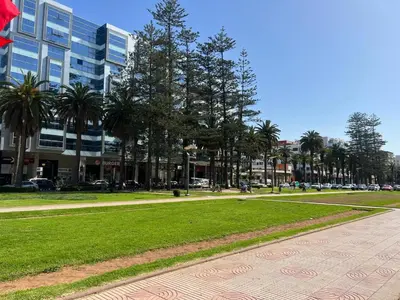 a park with palm trees in front of a building at Parc mohammedia in Mohammedia