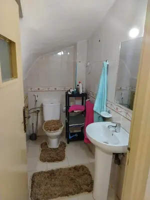 a bathroom with a sink and a toilet at Dar Isa in Sidi Rahal