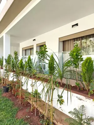 a group of plants in front of a building at L'Écume des Sablettes in Mansouria