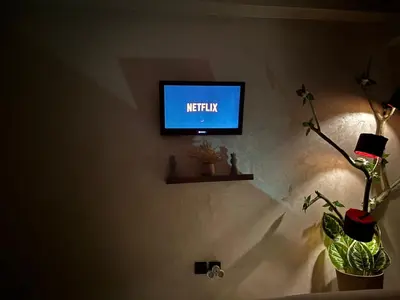 a flat screen tv on a wall with plants at Chez A&J, appartement climatisé, proche du Stade de Rabat in Temara