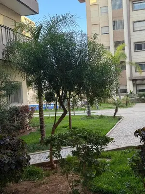 a small tree in the middle of a courtyard at Studio Perla Sofé in Nouaseur