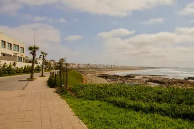 a sidewalk next to a beach with palm trees at Magnifique studio cosy et lumineux avec vue sur mer in Tamaris