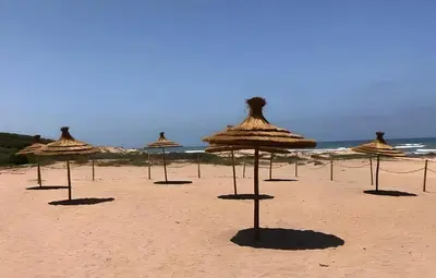 a group of straw umbrellas on a beach at GARDEN BAY Appartement Luxe Front de Mer à Tamaris Sidi Rahal, Plage Privée, Piscine et Loisirs in Tamaris