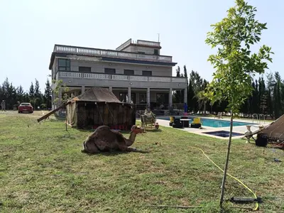 a camel sitting in the grass in front of a building at Ferme