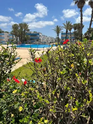 a bush with red flowers in front of a beach at Apartment with swimming pool in O Ben Slimane