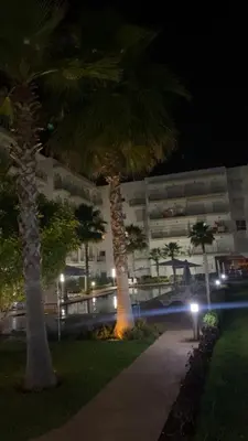 two palm trees in front of a building at night at Appartement Kettani bouznika in Bouznika