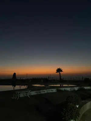 a sunset with a palm tree and a pool at Luxury Apartment Ocean View and Private Beach Ain Diab in Casablanca