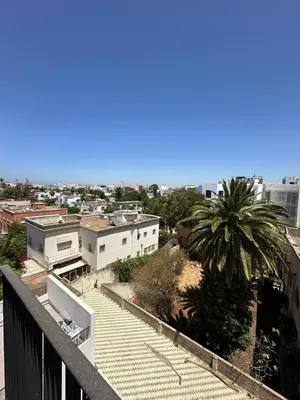a view from a balcony of a building with a palm tree at Charming Studio in Oasis in Oulad Akkou