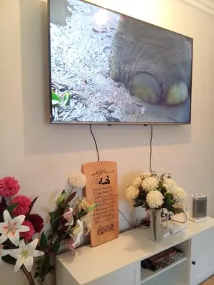 a television on a wall with flowers on a table at Chez Basma in Rabat