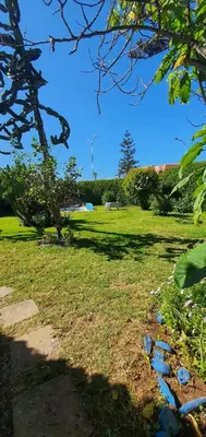 a grassy field with a tree in a park at شاطئ مونيكا in Mohammedia