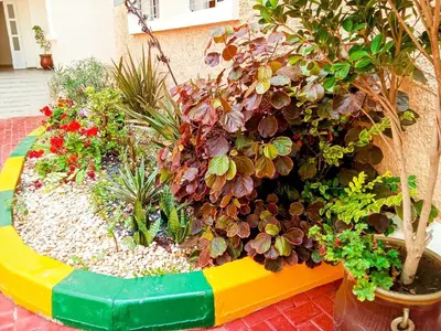 a garden with many different types of plants at Apartment with terrace breathtaking ocean views in Rabat